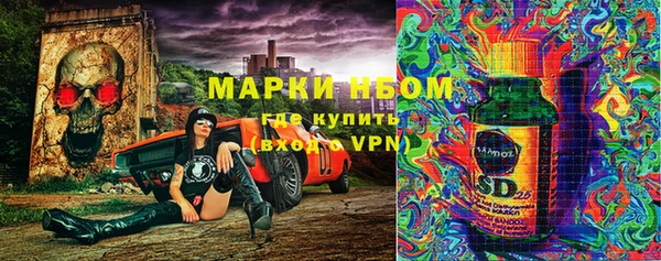 гидра Верхний Тагил