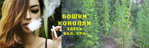гидра Верхний Тагил